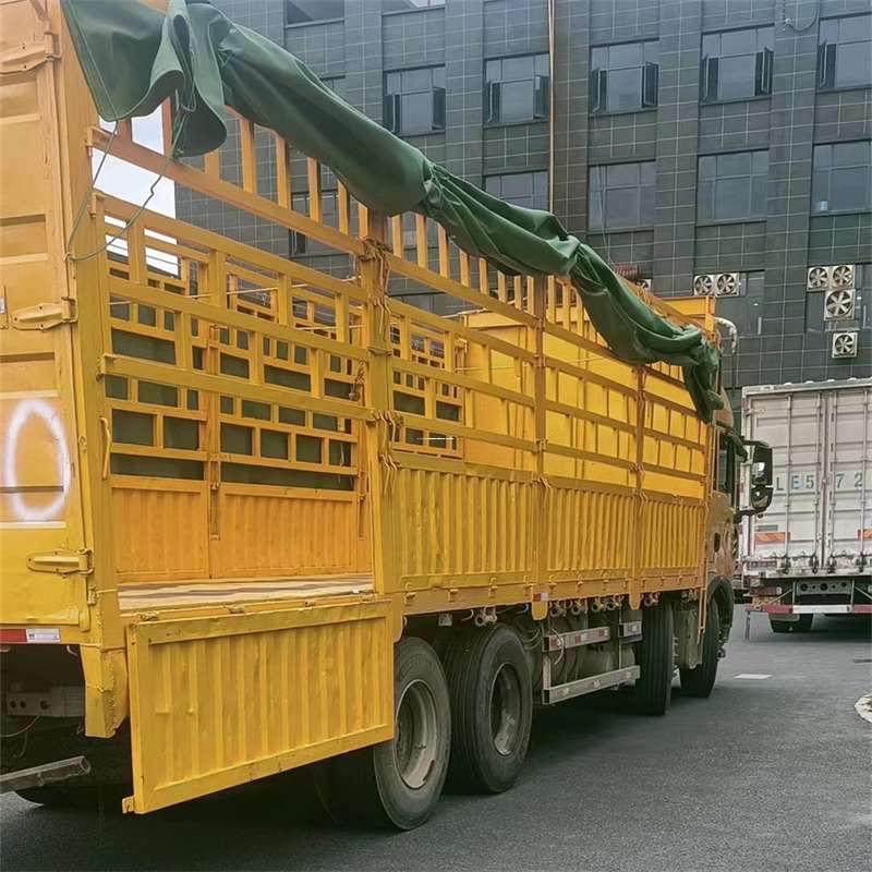 河南洛阳嵩县至宜宾货运专线一站式物流服务，让货物畅行无忧